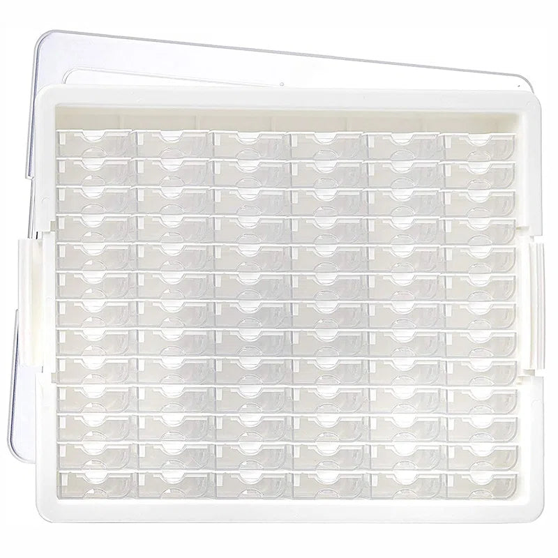 Plastic Art Organizer Carrying Case | Craft & Bead Storage