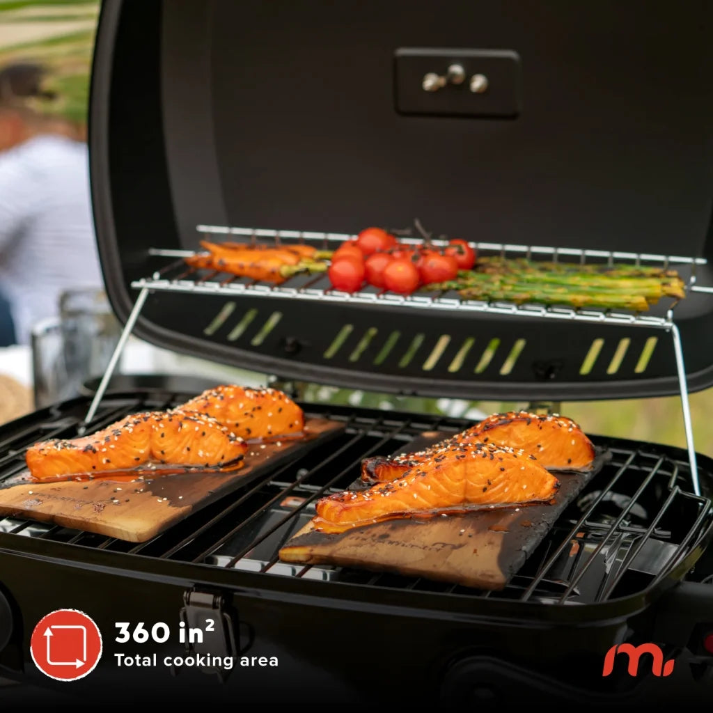 Portable 1-Burner Propane Gas Grill | 11,000 BTU Foldable Camping Grill